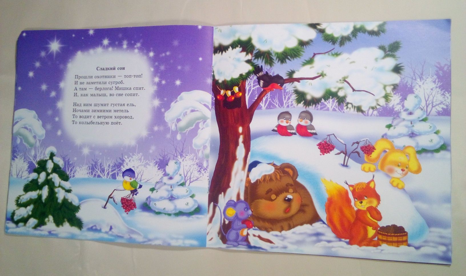 Книга "Новый год в лесу"