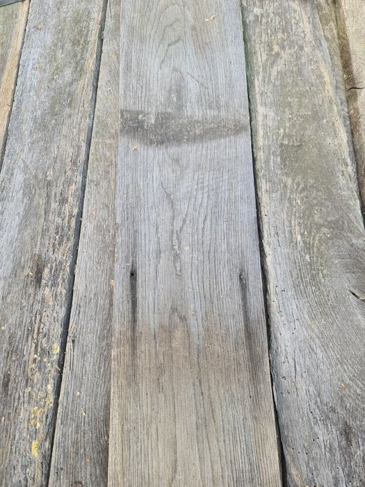 stary dąb rozbiórkowy