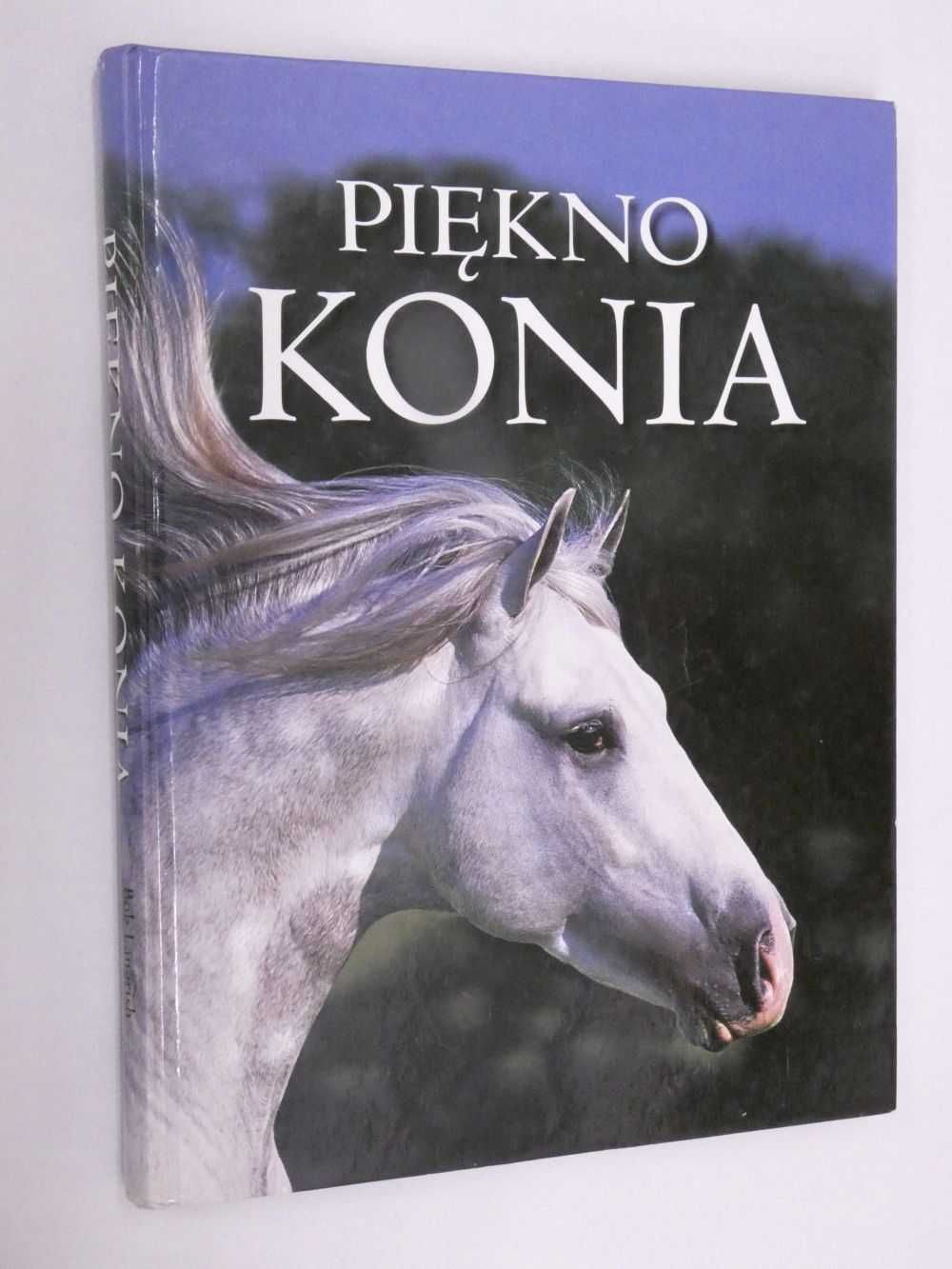 Piękno konia książka