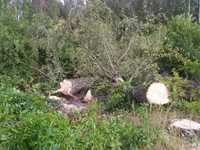 Wycinki drzew wycinki przy liniach kolejowych. , burzenie budynkow