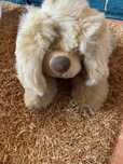 Cãozinho de peluche bom estado