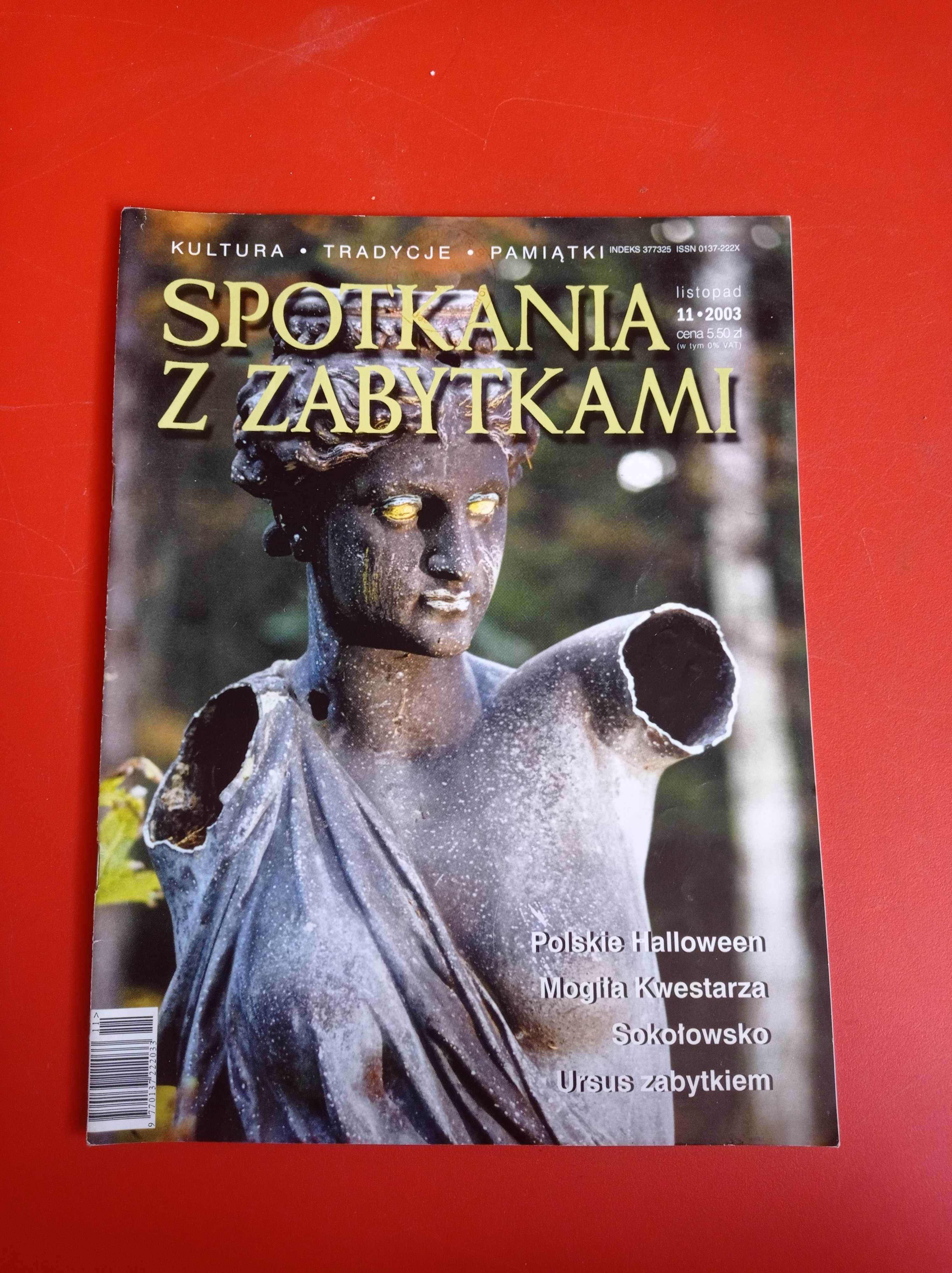 Spotkania z zabytkami, nr 11/2003, listopad 2003