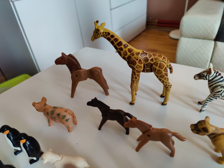 Playmobil zwierzęta - pingwiny, flamingi, surykatki