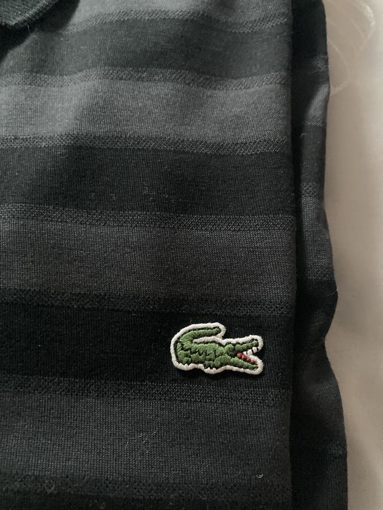 Polo Lacoste r.M długi rękaw