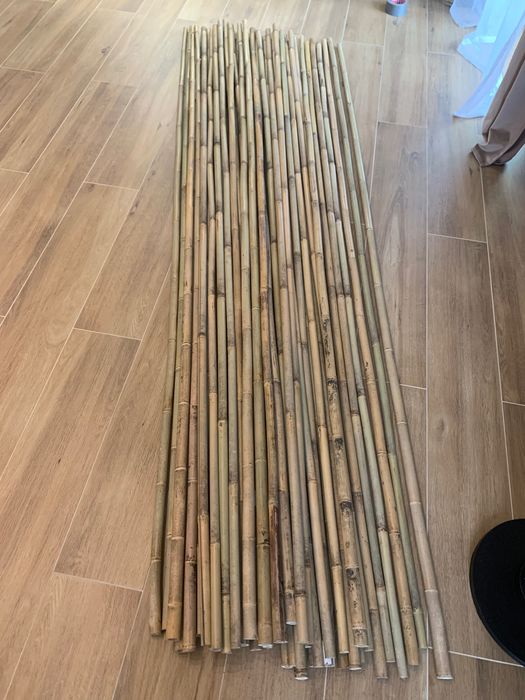 Tyczki bambusowe 240cm
