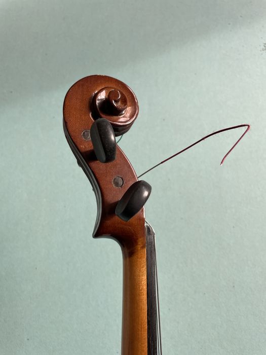 Violino 3/4 stenter