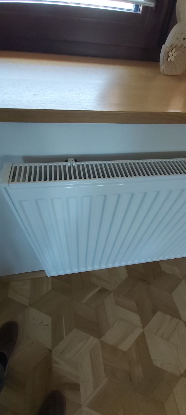 Grzejniki Viessmann