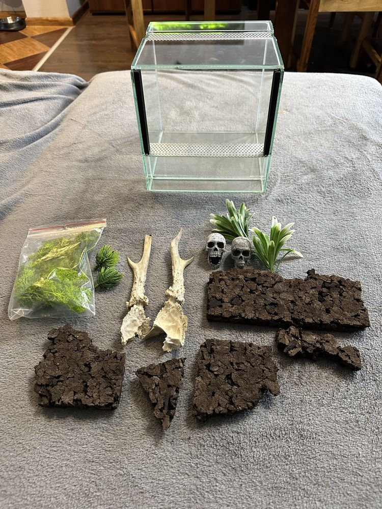 Terrarium + akcesoria