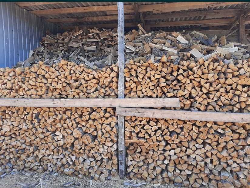 Дрова колоті, дубові кругляк, метровки – продаж і доставка.