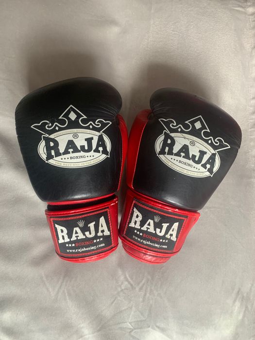 Боксерські рукавиці RAJA