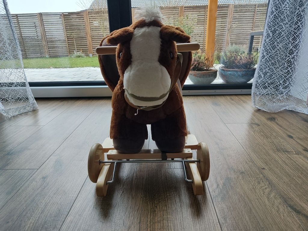 Konik na biegunach