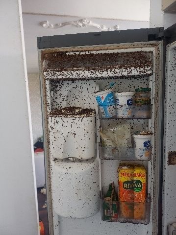 Oproznanie mieszkań, lokali, piwnic strychow, garazy. Kompleksowo !!