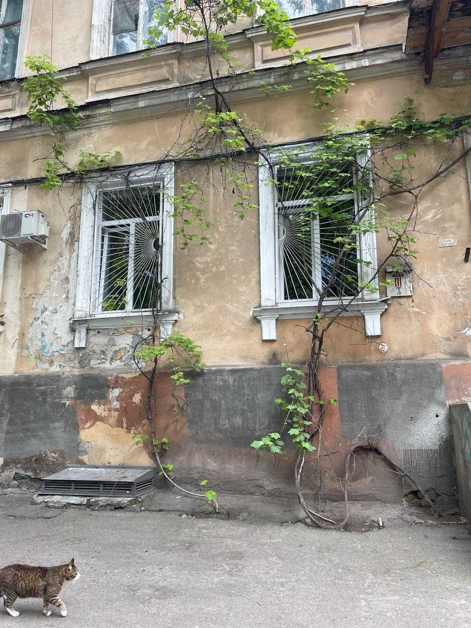 Продам 2-во кімнатну фасадну квартиру в центрі