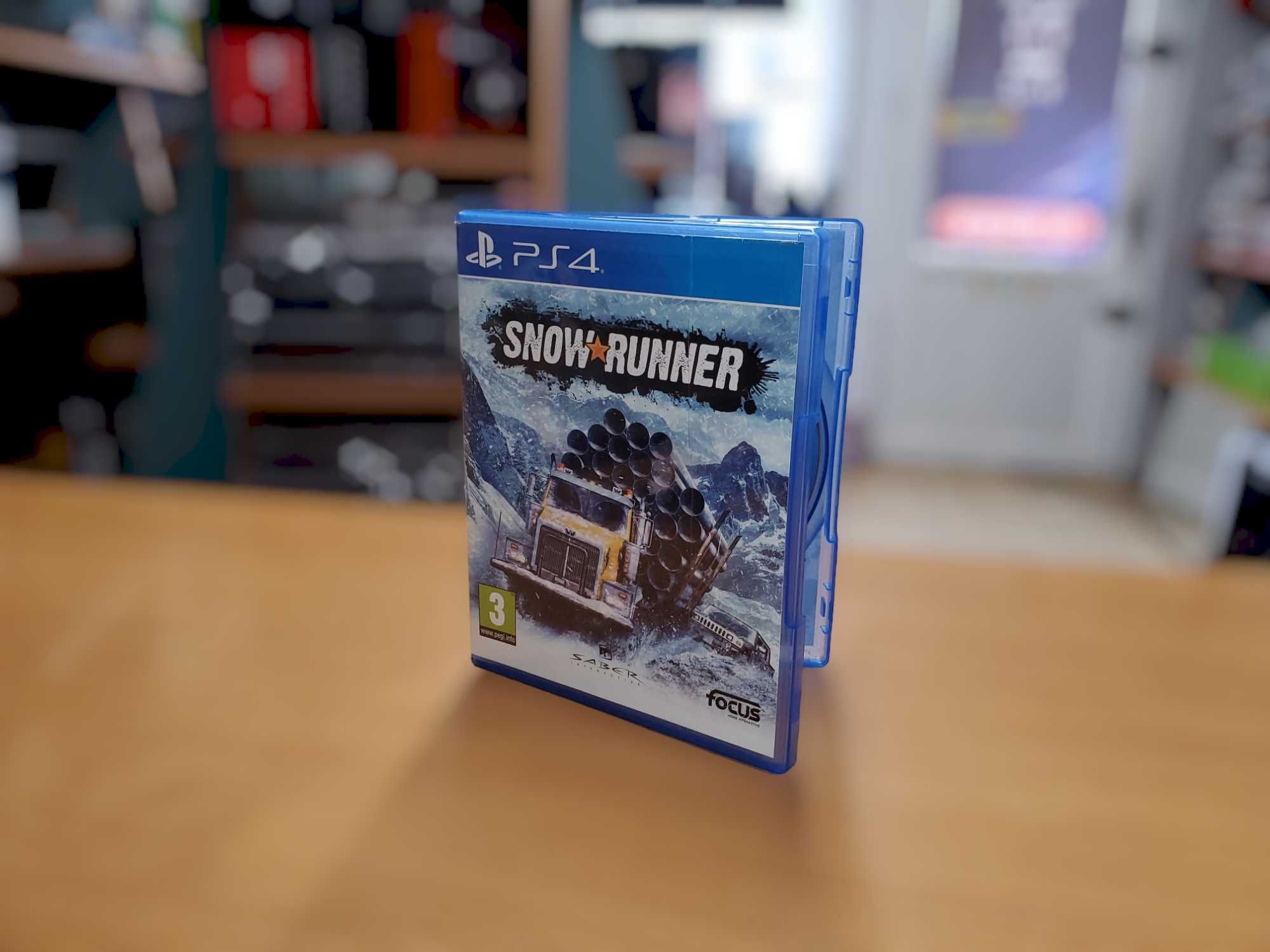 Gry PS4 Sonic  Car Simulator Snow Runner