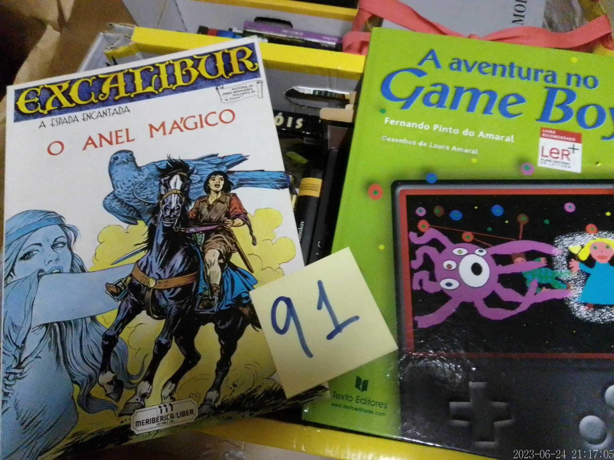 Lotes 91 (Pt1 +Pt2) LIVROS Diversos VENDIDOS EM SEPARADO Vários Preços