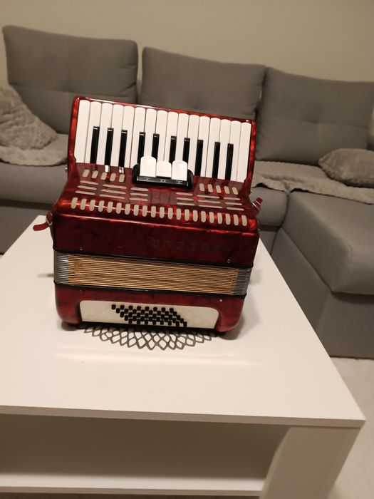 Akordeony z Dani.