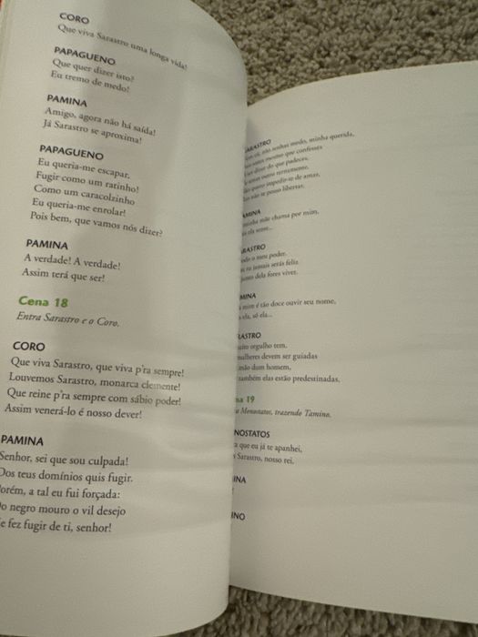 Livro Uma pequena Flauta Magica