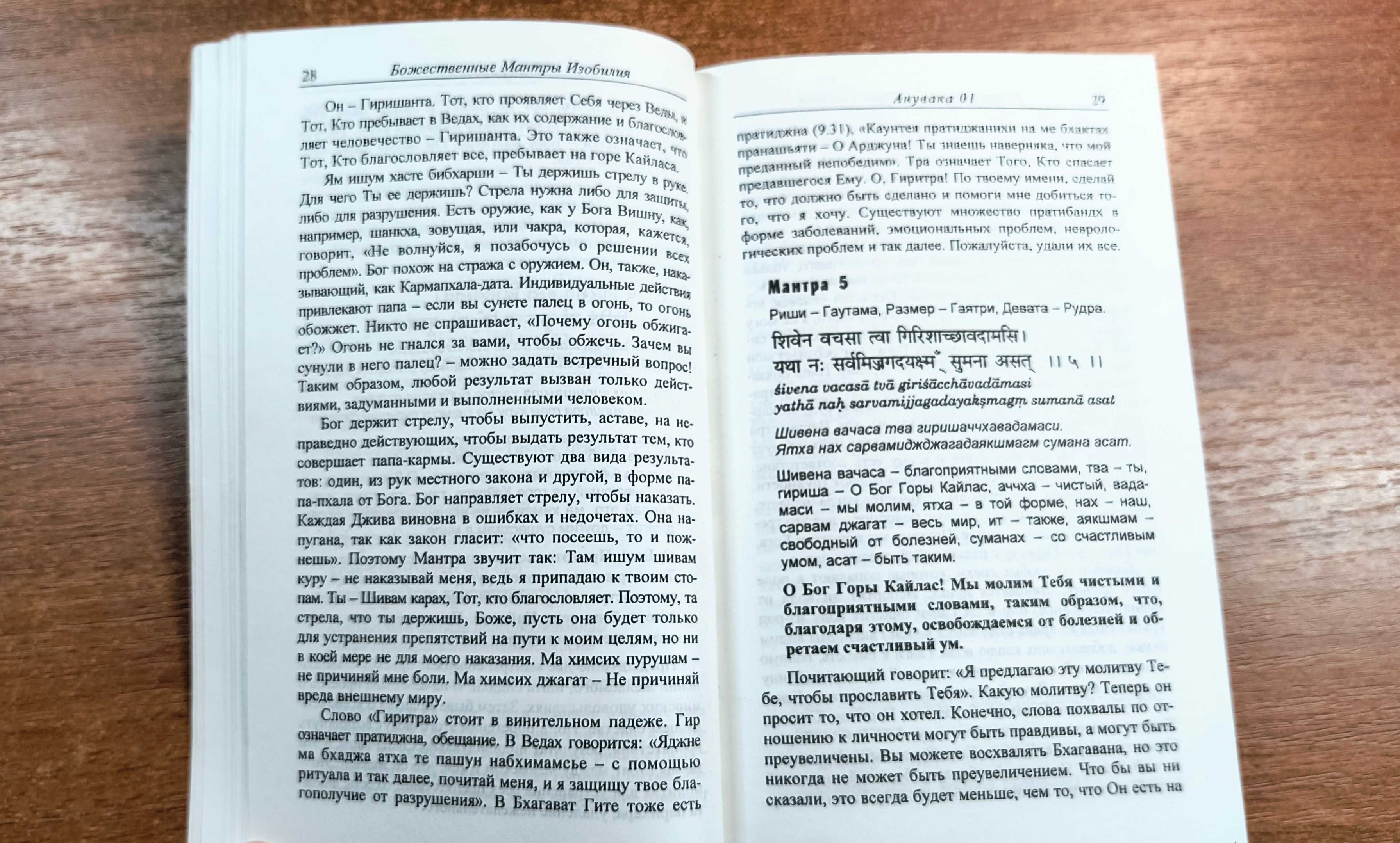 Божественные мантры изобилия (Шри Рудрам) Веды