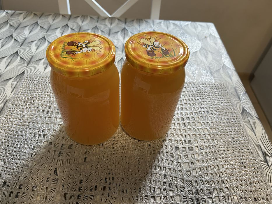 MIÓD LEŚNY z własnej pasieki naturalny orginał