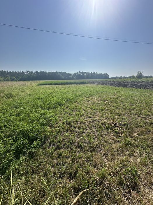 Земельна ділянка на Саєнка , Марʼянівка