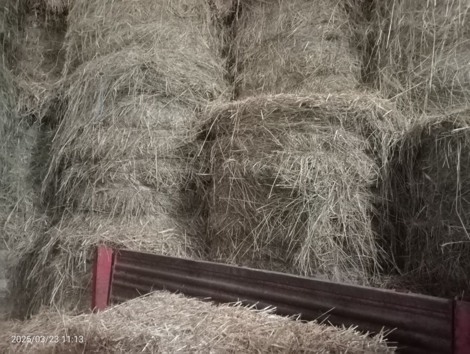 Venda de rolos de feno bravo