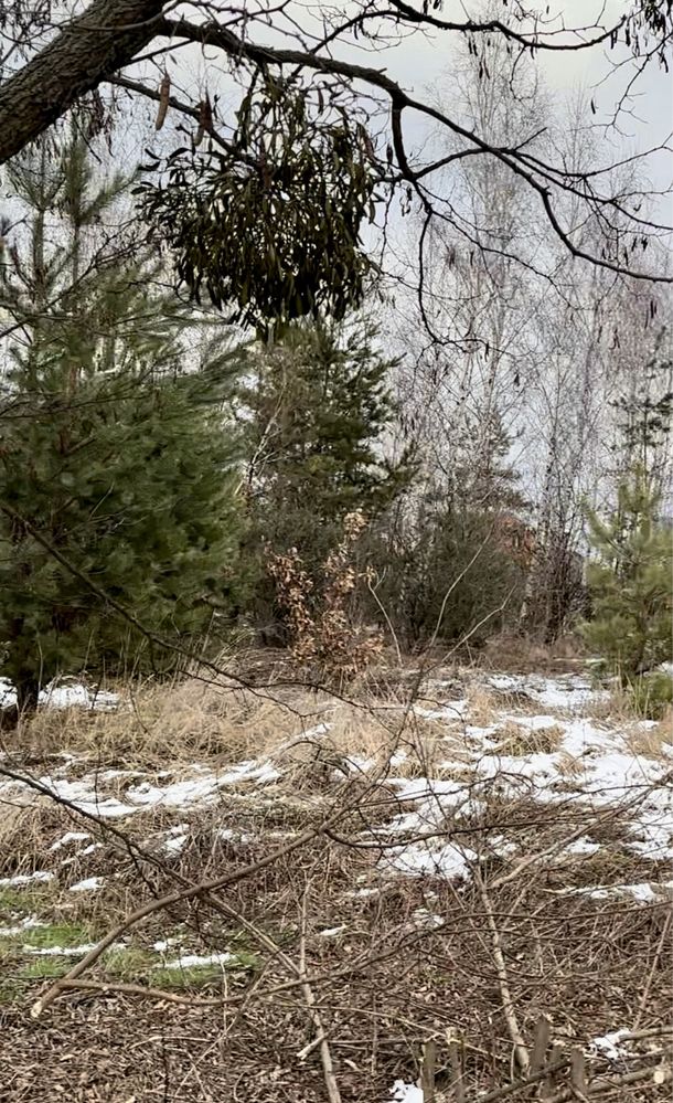 Дмитрівка центр ,  Власник !14 соток під забудову.
