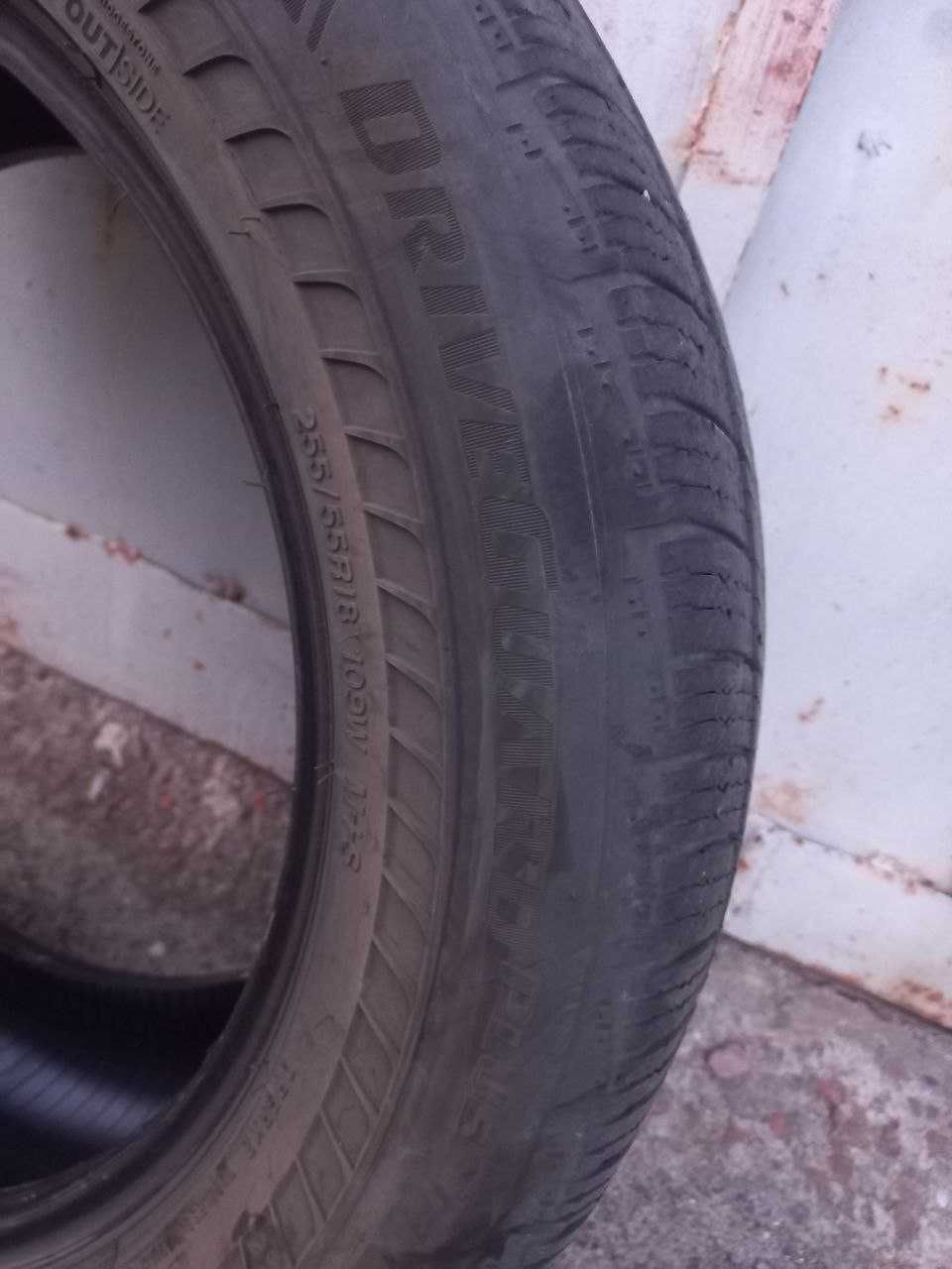 Bridgestone DriveGuard plus 255 55 18 Всесезон 2023 р.в.