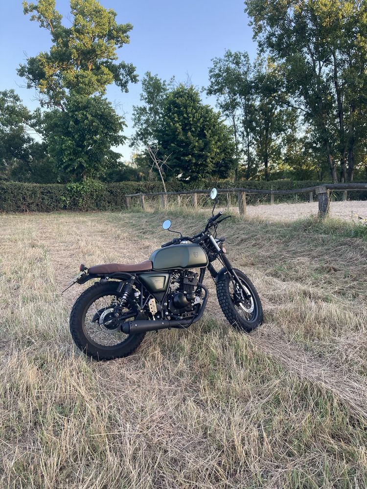 MUTT Akita Green 125