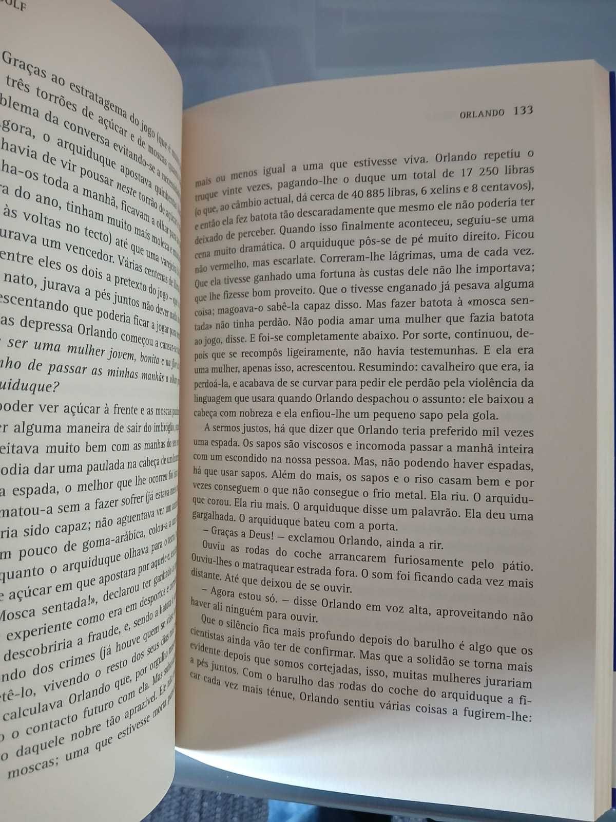 Livro Orlando - Virginia Woolf