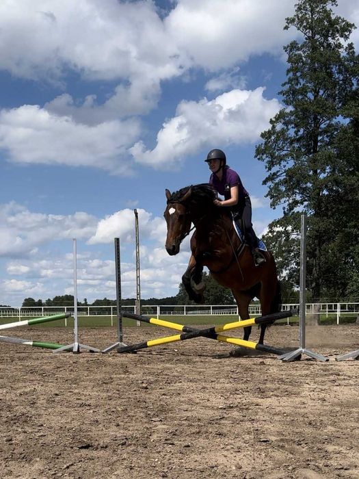 klacz do sportu rekreacji