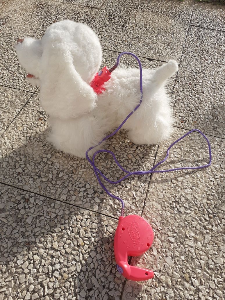 Cão peluche e troley