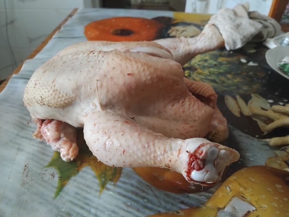 Продам  бройлери