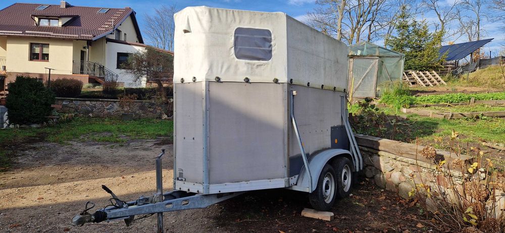 przyczepa do przewozu koni wynajem wypożyczalnia
