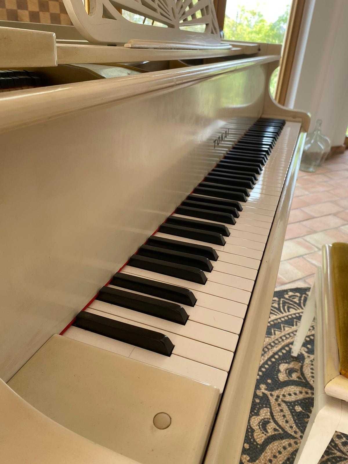 Piano de cauda Tokai em excelente estado - Cor creme