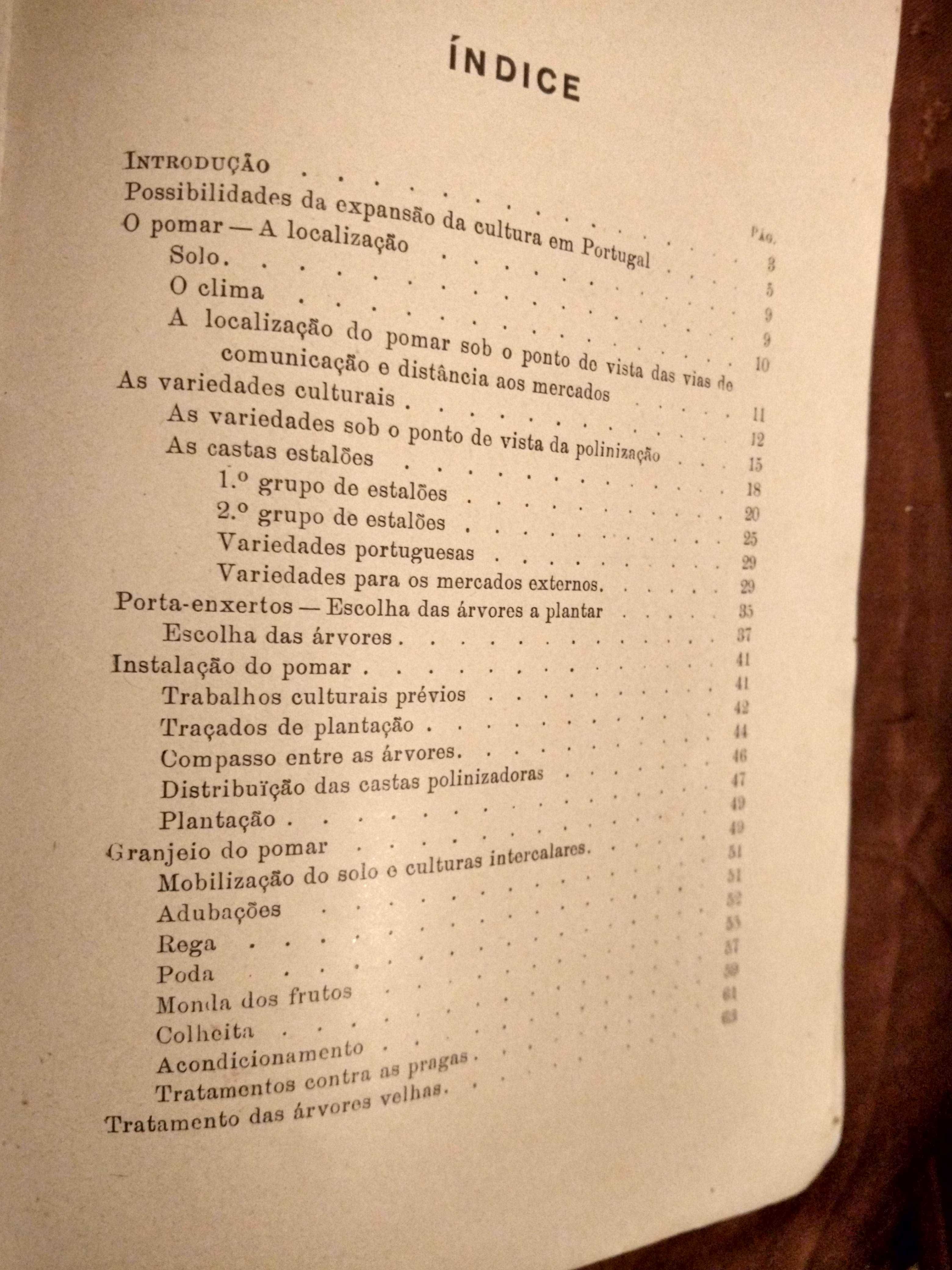 Cultura das PEREIRAS - J. Vieira Natividade - ano de 1937