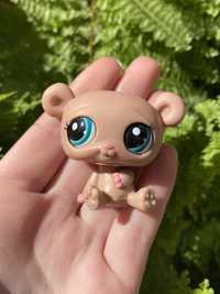 LPS Littlest pet shop miś #2026