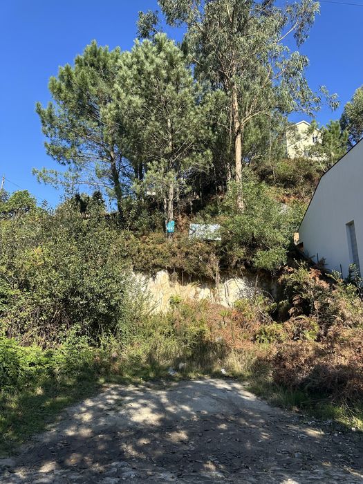 Limpeza de terrenos e jardinagens