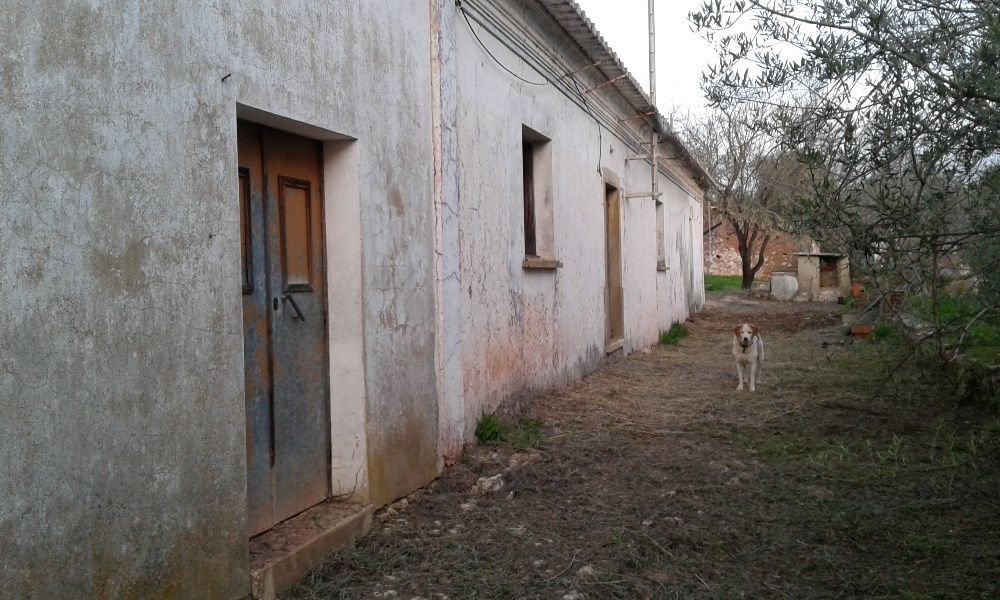 Vende-se casa e terreno