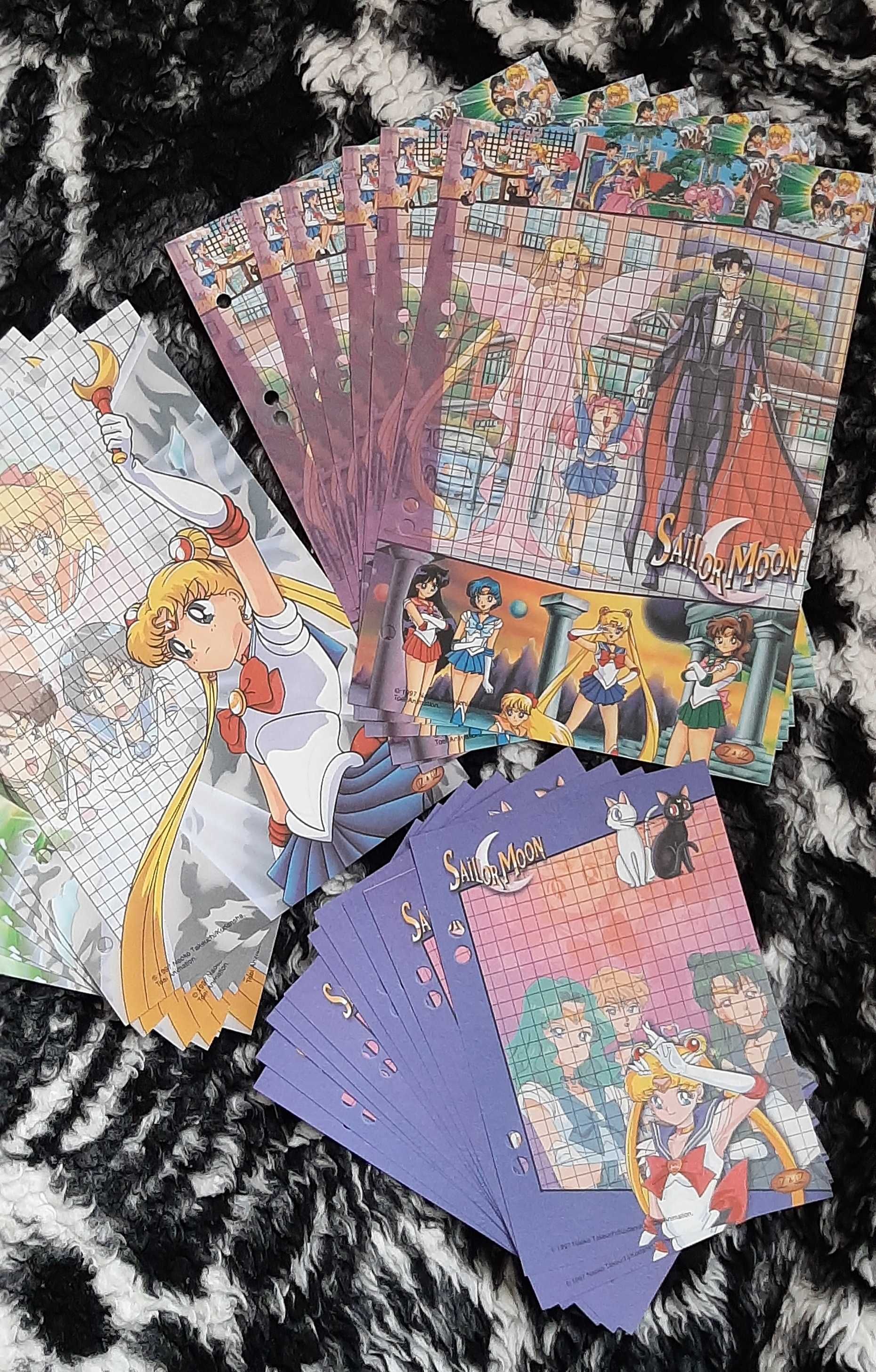 Sailor Moon / Czarodziejka z Księżyca - KARTECZKI do segregatora