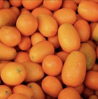 Kumquat biológica (laranja anã)