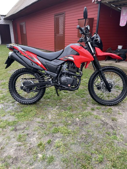 Лонкін прусс 200