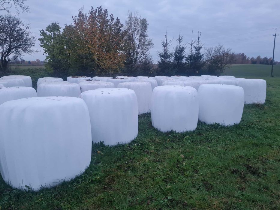 Sprzedam Baloty Okolice Bartoszyc