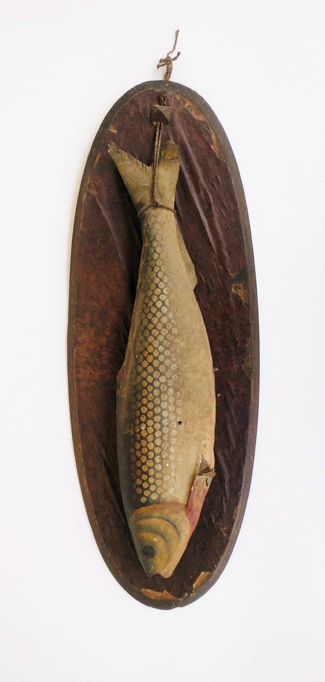 Antigo troféu de pesca em pasta de papel