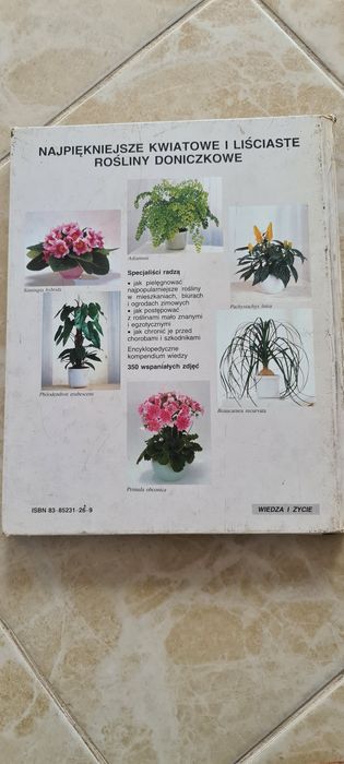 Rośliny doniczkowe Halina Heitz