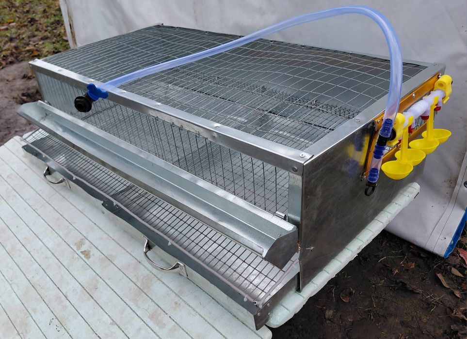 Клітка для перепелів (перепілок)