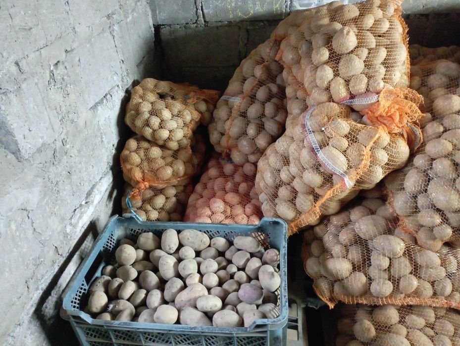 JADALNE GALA/RED SONIA , Pole  Stół  Krótka  DROGA Na STÓŁ Konsum,
Zie