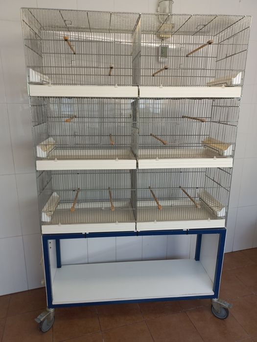 Voadores italianos (viveiros)