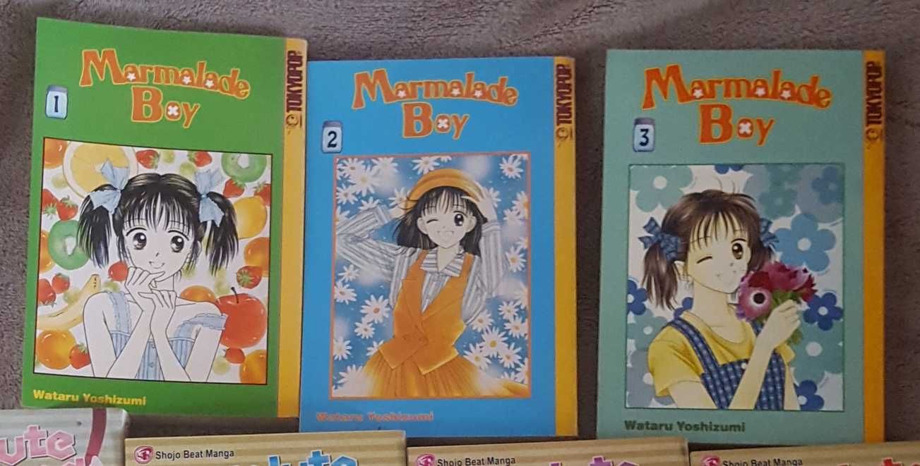 Marmalade Boy tomy 1-3 manga po angielsku anime