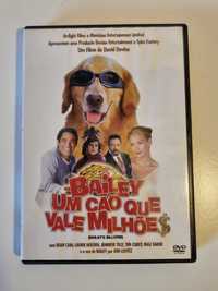 DVD do filme "Bailey - Um Cão que vale Milhões"