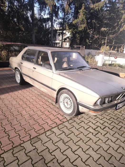 BMW 525 Rekin skóra